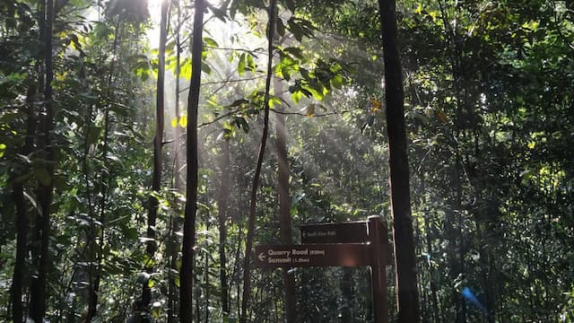 Bukit Timah Nature Reserve