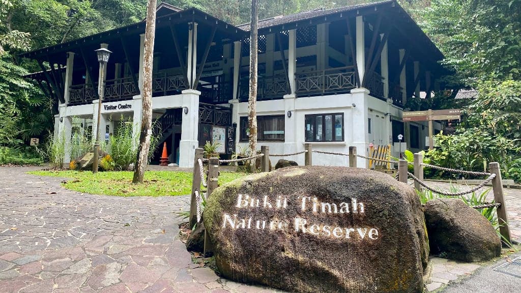 Bukit Timah Nature Reserve: A Tropical Rainforest Adventure