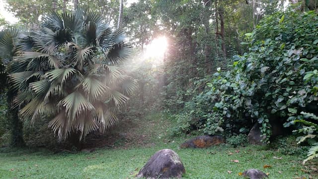 Bukit Batok Nature Park