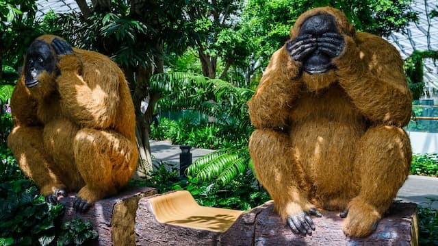 Canopy Park - Jewel Changi