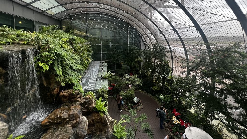 Butterfly Garden: A Tropical Haven