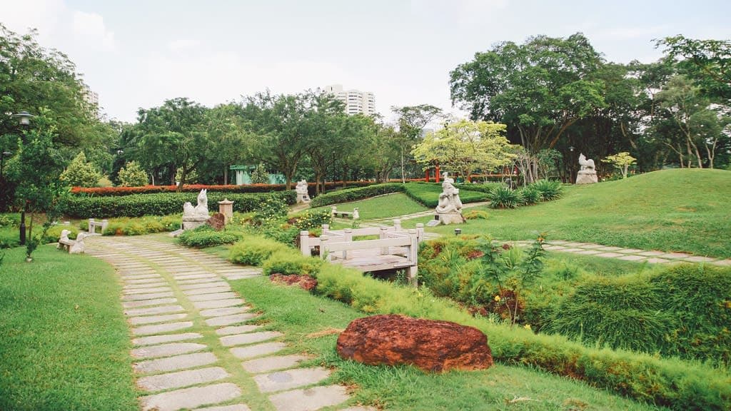 Chinese Garden: An Oasis of Harmony