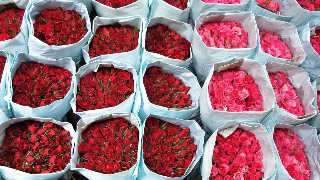 Pak Khlong Talat (Flower Market): A Symphony of Colors and Fragrances