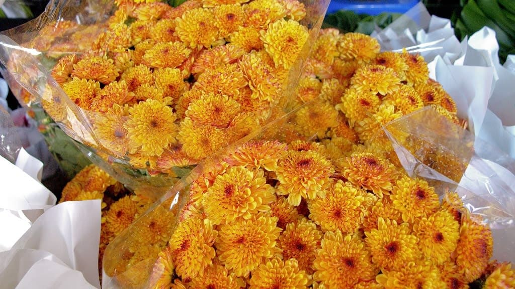 Pak Khlong Talat (Flower Market): A Symphony of Colors and Fragrances