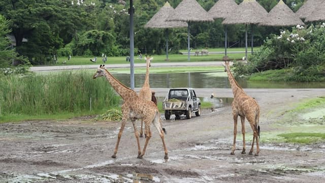 Safari World Bangkok