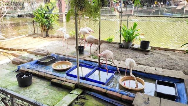 Kwan-Riam Floating Market