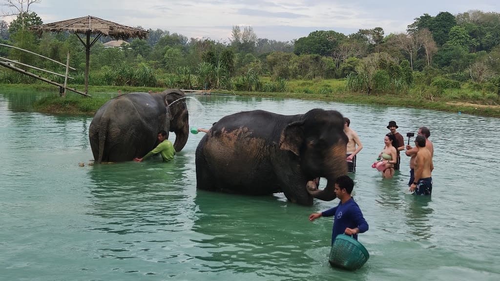 Green Elephant Sanctuary Park: A Heartwarming Journey into Conservation