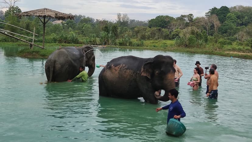 Green Elephant Sanctuary Park