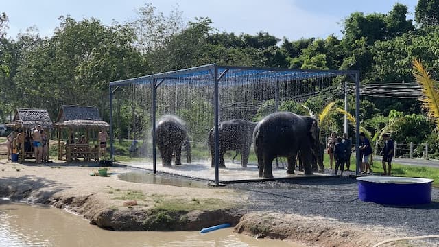 Green Elephant Sanctuary Park