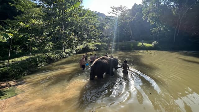Green Elephant Sanctuary Park