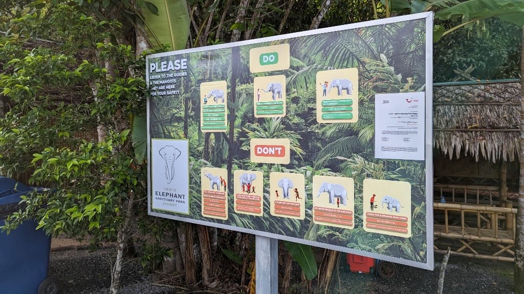 Green Elephant Sanctuary Park: A Heartwarming Journey into Conservation
