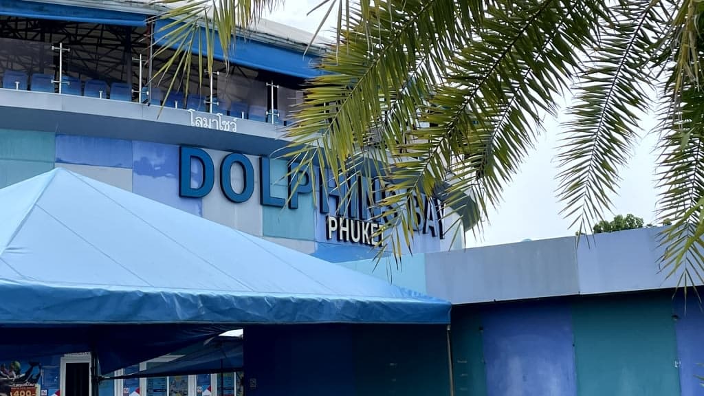 Dolphins Bay Phuket: An Enchanting Encounter with Marine Wonders