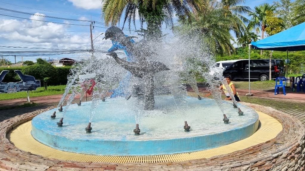 Dolphins Bay Phuket: An Enchanting Encounter with Marine Wonders