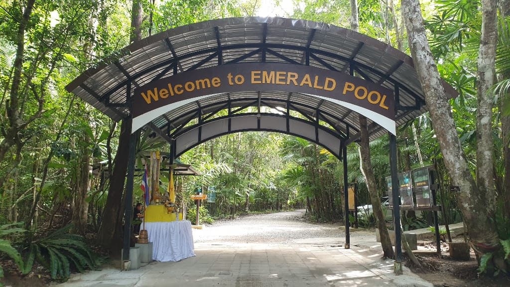 Dive into the Crystal Waters of the Emerald Pool
