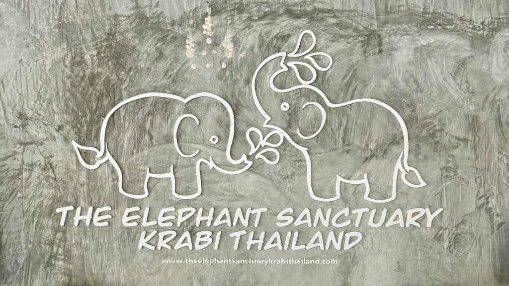 Connect with Nature at The Elephant Sanctuary Krabi