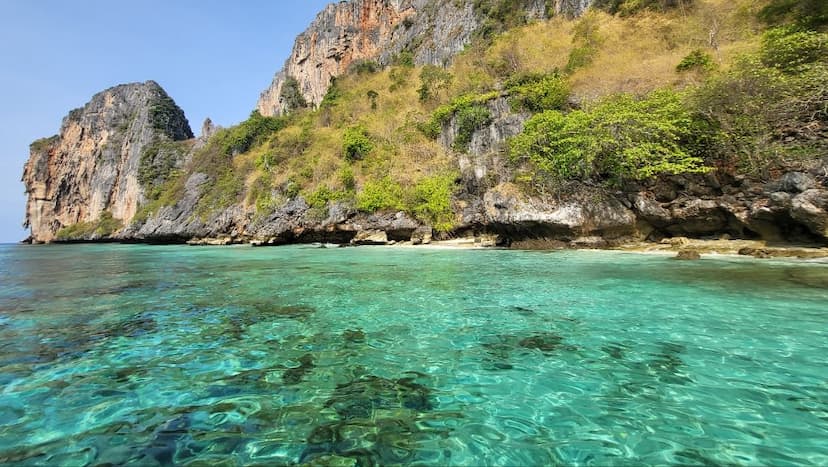 Bamboo Island