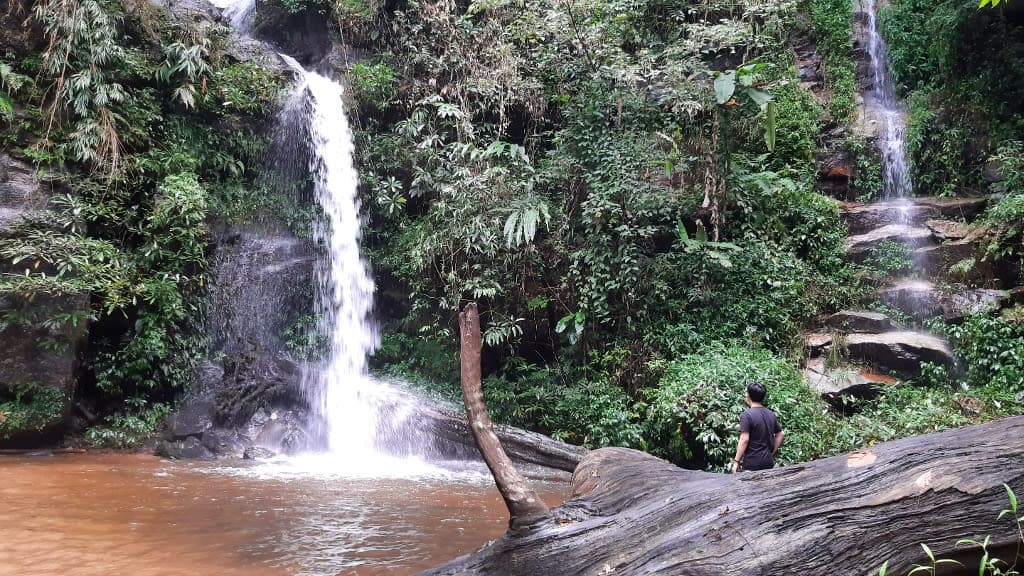 Doi Suthep-Pui National Park: Nature’s Majesty at Chiang Mai’s Doorstep