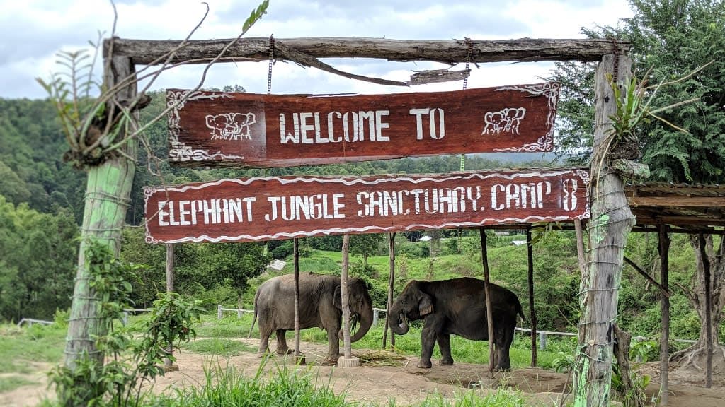 Elephant Jungle Sanctuary: An Ethical Encounter with Thailand’s Gentle Giants
