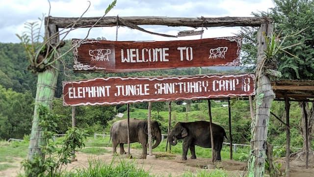 Elephant Jungle Sanctuary