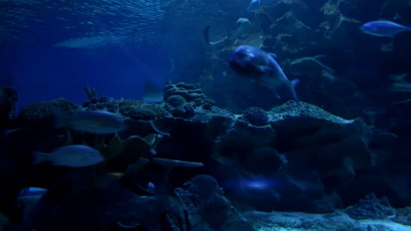 Aquaria KLCC