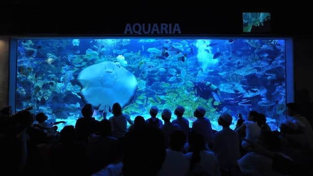 Aquaria KLCC