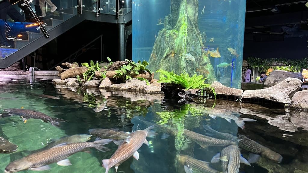 The Most Beautiful Aquaria in Town